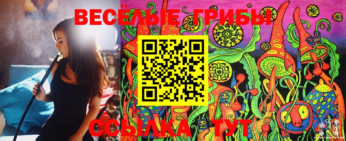 Советская Гавань  Галлюциногенные грибы Psilocybe  Вход с VPN 